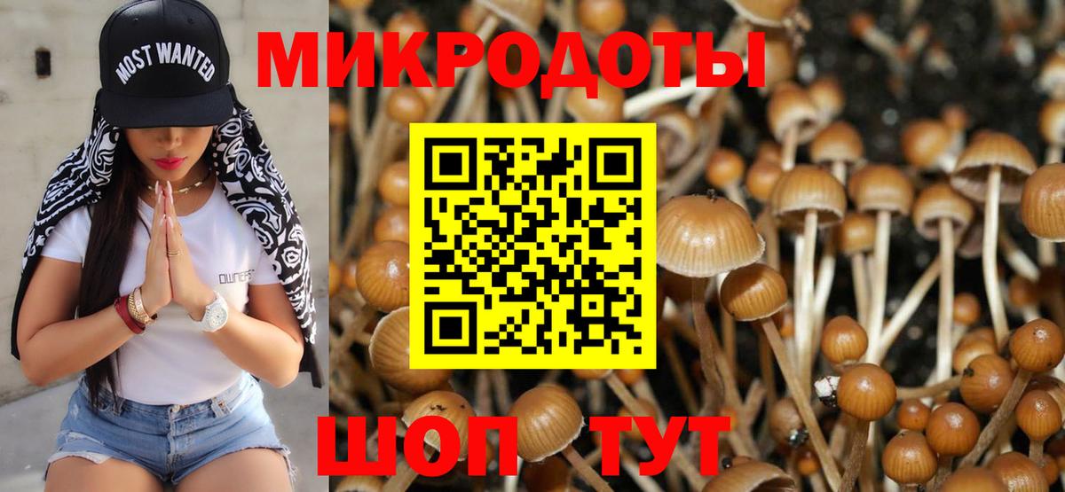 Галлюциногенные грибы прущие грибы  Вход с VPN  Кизилюрт 