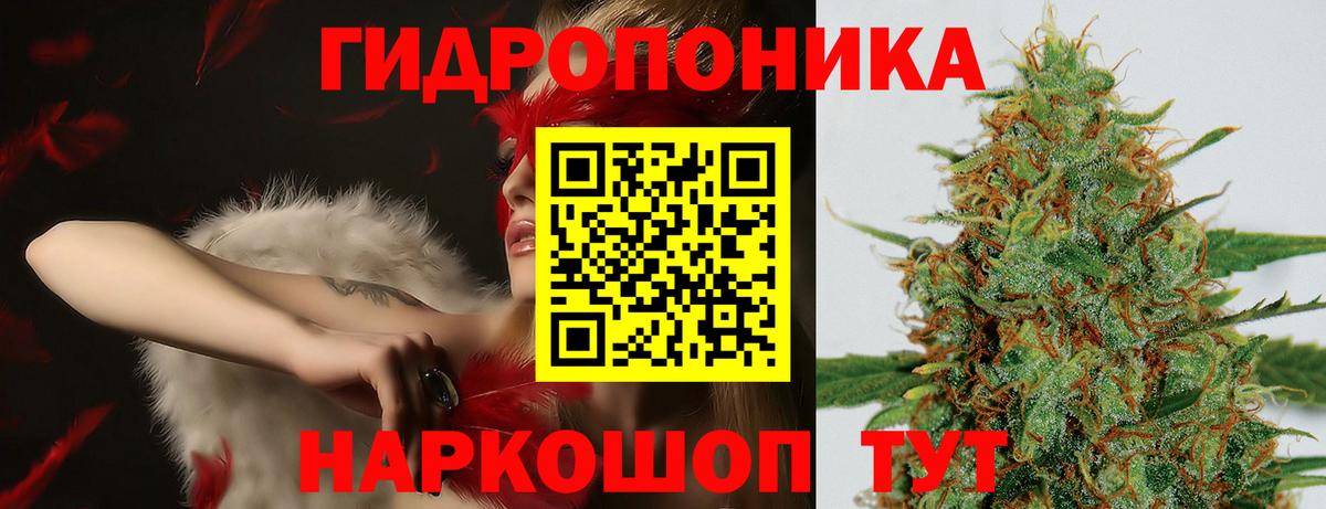 Канабис Amnesia Кизилюрт